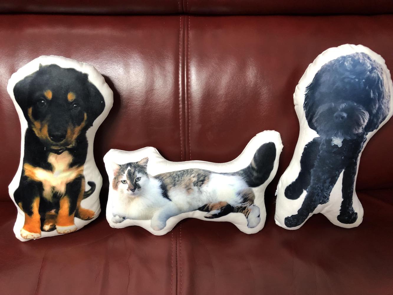 Get your pet on a clearance pillow