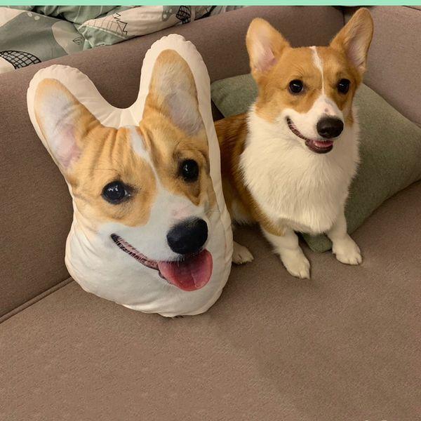 Pet face hot sale pillow