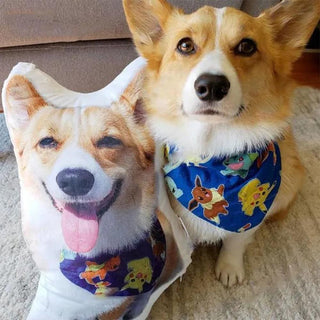 Photo Pillows Custom Dog Pillows from Photo