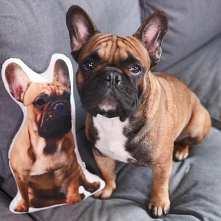 Your Pet on Pillows Pet Shaped Photo Pillow Cushion